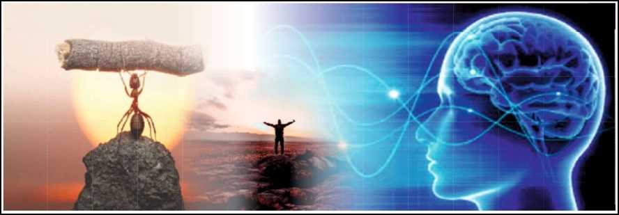 Concentration in a Distracted World